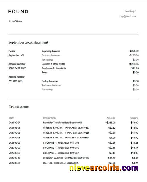 USA Found account statement Word and PDF
